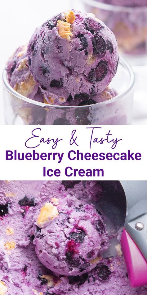 A Blueberry Cheesecake Ice Cream for a delightful treat in every spoon. Fresh blueberry in a mix of creamy cheesecake and graham crackers will cool off your day. Easy to try, you won’t make this decadent ice cream once. Ice Cream Mix Ins, Cream Cheese Ice Cream Recipe, Blueberry Cheesecake Ice Cream, Lemon Tiramisu, Ice Cream Recipes Machine, Desserts With Few Ingredients, Chocolate Dipped Fruit, Ice Lollies, Frozen Dessert Recipe