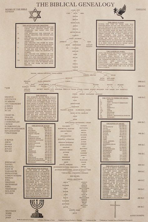 Biblical Genealogy, Bible Genealogy, Bible Timeline, Genealogy Chart, Historical Timeline, Bible Study Topics, Bible Study Help, Visual Reference, Bible History