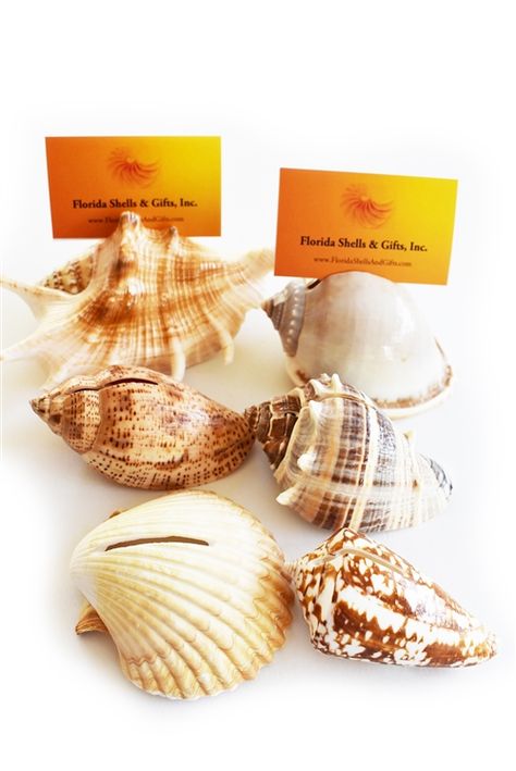 seashell card holders Nautical Party Decor, Nautical Party Favors, Shell Table, Beach Wedding Makeup, Nautical Party Decorations, Tropical Party Decorations, Beach Dining, Beach Bridal Showers, Place Card Holder