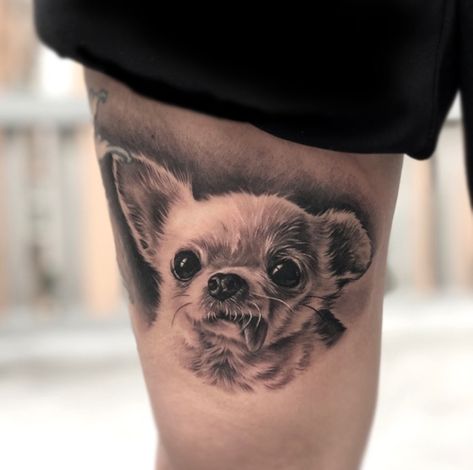 15 Trendy Tattoo Ideas Chihuahua Owners Will Love | The Paws Chihuahua Tattoo Ideas, Chihuahua Tattoo, Dog Portrait Tattoo, Chihuahua Breeds, Dachshund Tattoo, Chihuahua Owner, Geniale Tattoos, Cute Chihuahua, White Tattoo