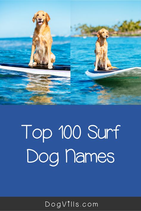 Ocean Puppy Names, Ocean Themed Dog Names, Beachy Dog Names, Beach Dog Names, Hawaiian Dog Names, Names Ocean, Beach Names, Adoption Tips, Cute Puppy Names