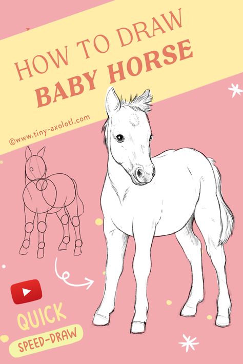 Baby Horse Drawing, Foal Drawing, Cute Horse Quotes, Foals Playing, Start Sketching, Horse Reference, Baby Horse, Tiny Horses, Horse Sketch