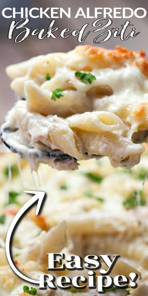 Chicken Alfredo Baked Ziti, Alfredo Baked Ziti, Chicken Casserole Dishes, Baked Ziti With Chicken, Chicken Bacon Pasta, Weeknight Chicken, Easy Baked Ziti, Chicken Alfredo Bake, Ziti Recipes