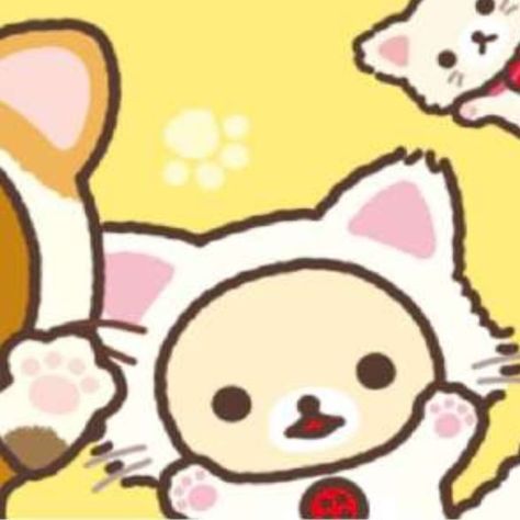 #korilakkuma #rilakkuma #kaoru #bears #matchingpfps #matchingpfpsfor2 #sandio #sanxco #kumas #chocoandmilk Match Profile, Duos Icons, Bear Drawing, Cute Tumblr Wallpaper, Best Anime Couples, Anime Expressions, Cute School Supplies, Dark Art Illustrations, Tumblr Wallpaper