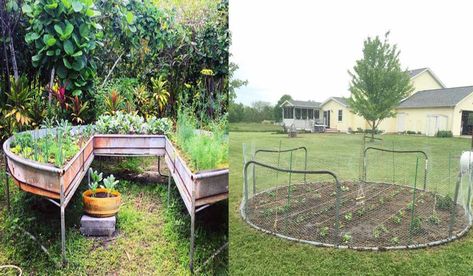 Garden Upcycling Ideas, Repurposing Trampoline Ideas, Recycling Trampoline Ideas, Trampoline Frame Repurpose Ideas, Old Trampoline Frame Ideas Garden, Uses For Old Trampolines, Trampoline Diy Projects, Old Trampoline Frame Ideas Diy, Repurposed Trampoline Mat