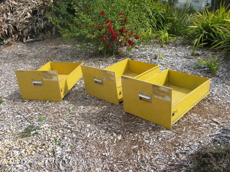 third and last painted file cabinet to garden planter sungold yellow, container gardening, gardening, repurposing upcycling Filing Cabinet Flower Planter, Repurpose File Cabinet Drawers, File Cabinet Makeover Planter, File Cabinet Drawers Upcycle, Planters Out Of File Cabinets, File Cabinet Planter Boxes, Filing Cabinet Drawers Upcycle, File Drawer Planter, File Cabinet Garden