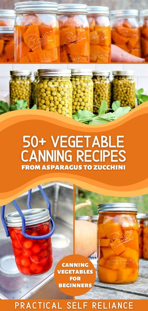 All kinds of ways to can vegetables. from pressure canning to water bath canning pumpkin. canning peas, and canning sweet potatoes Canning Peas, Water Bath Canning For Beginners, Canning Asparagus, Vegetable Canning, Canning Zucchini, Canning For Beginners, Water Bath Canning Recipes, Easy Canning, Pressure Canning Recipes