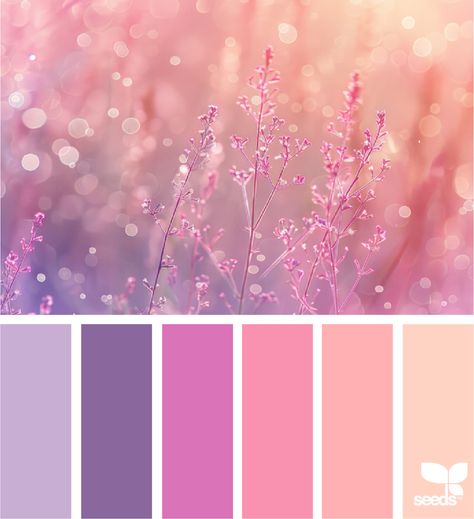 Design Seeds Dorm Color Schemes, Color Palette Spring, Seeds Color Palette, Yarn Color Combinations, Seeds Color, Drawing Desk, Spring Palette, Color Schemes Colour Palettes, Color Palette Bright