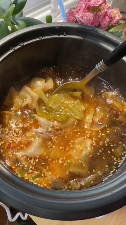 Rice Cooker Dumpling Soup, Dumpling Noodle Soup, Recipes Tiktok, Rice Cooker Recipes, Pork Dumpling, Dumplings For Soup, Pot Stickers, Asian Foods, Chili Oil