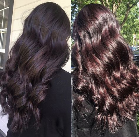 Dark Chocolate Violet Hair, Dark Hair With Burgundy Undertones, Dark Plum Black Hair, Dark Brown Hair Purple Tint, Red Undertone Black Hair, Cheery Red Hair Color, Cherry Dark Brown Hair, Dark Violet Brown Hair, Chocolate Cherry Hair Color With Highlights