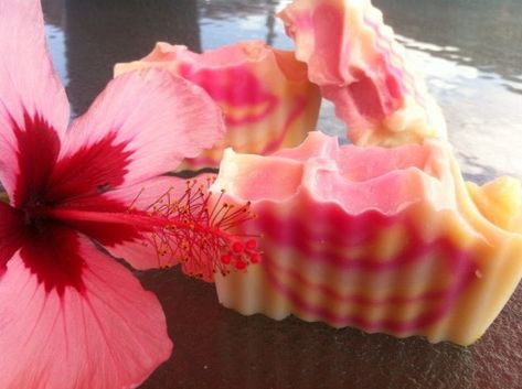 100% Hibiscus Flower Extract Soap Soap Making Tutorials, Diy Hand Soap, Natural Botox, Pumpkin Soap, Soap Flowers, Tea Soap, Fig Plant, Soap Colorants, Tea Ideas