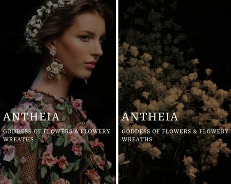 antheia (Ἀνθεία) - greek goddess of flowers & flowery wreaths Greek Goddess Names, Antheia Goddess, Goddess Of Flowers, Greek Goddesses, Goddess Names, Greek Names, Greek Mythology Gods, Fantasy Names, Greek Gods And Goddesses