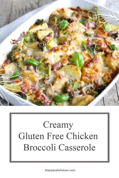 Creamy Gluten Free Chicken Broccoli Casserole Recipe...YUM! Gluten Free Chicken Casserole Recipes, Gluten Free Chicken Casserole, Gluten Free Chicken Recipes, Broccoli Bake, Chicken Broccoli Casserole, Noodle Casserole, Broccoli Casserole, Chicken Broccoli, Chicken Recipes Casserole