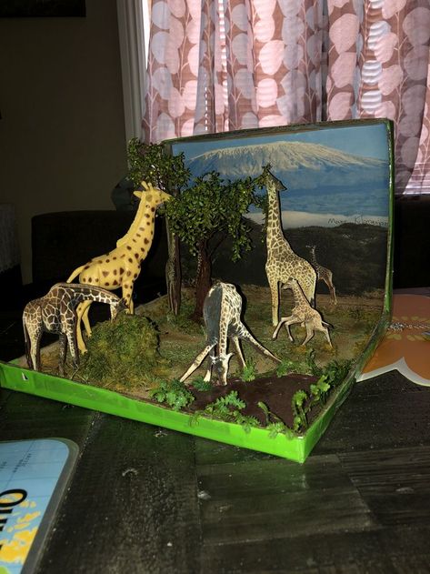 Photos On My Pins FD3 Giraffe Diorama, Washington Monument Project, Savannah Habitat, 3d Solar System Project, Deciduous Forest Biome, Shoe Box Diorama, Savanna Biome, Elephant Habitat, Biomes Project