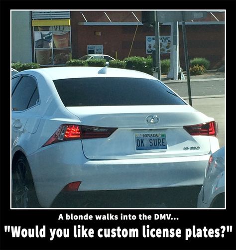 A blonde walks into the DMV... Dmv Humor, Custom License Plates, Vanity Plates, Strange Facts, Odd Stuff, Vanity Plate, Custom License Plate, Funny Comments, Weird Pictures