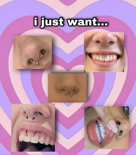 Septum And Smiley Piercing, Smile Piercing, Dream Piercings, Pretty Piercings, Piercing Inspo, Smiley Piercing, Cute Piercings, Piercing Ideas, Septum Piercing