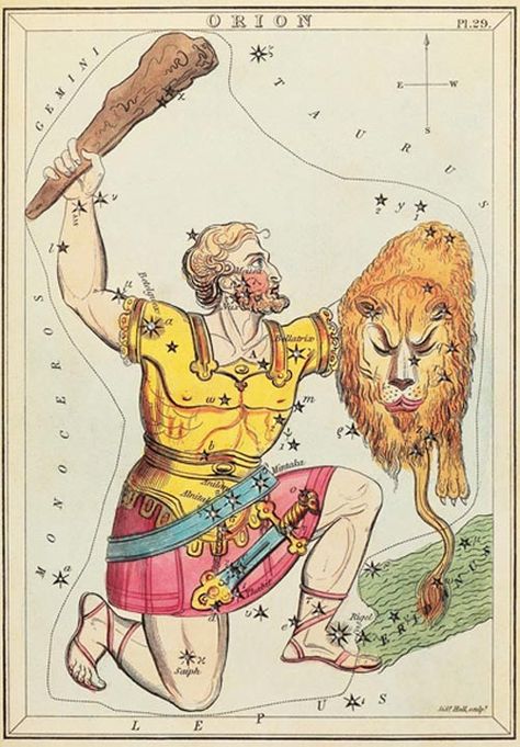 Orion depicted as Hercules, brandishing his club and the shield of the Nemean lion, plus a sword hanging from his belt. In comparison Gilgamesh was described as holding an axe and a bow, plus his sword, but they are both quite clearly manifestations of Orion. This is why Orion is kneeling, because Hercules was called Engonasisn, meaning 'The Kneeler'. Nemean Lion, Orion's Belt, Castor And Pollux, Orion Constellation, Ursa Minor, Art Of Manliness, Bellatrix Lestrange, Sean Penn, Constellation Tattoos