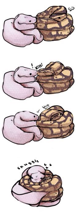 Snakes Cuddling, Snake Comic, Cute Snake Art, Danger Noodles, Ball Pythons, Cartoon Strip, Cute Reptiles, Cute Snake, Ball Python