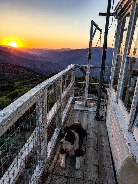 Experience a Retired Fire Watch Tower — Ginger Finding Roots Fire Watch Tower Interior, Fire Watch Aesthetic, Firewatch Aesthetic, Fire Watch Tower, Firewatch Tower, Fire Lookout Tower, Small Town Mystery, Fire Watch, Camping Couple