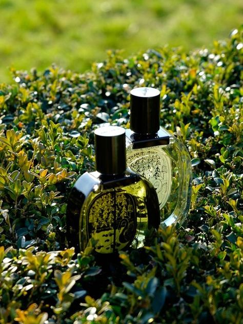 I've always associated this fragrance with New Zealand - one of the greenest places in the world. Outdoor Perfume Photography, Perfume Moodboard, Perfume Photoshoot, Nature Lighting, Euphoria Perfume, Diptyque Paris, Fragrance Photography, Lost Paradise, Perfume Photography