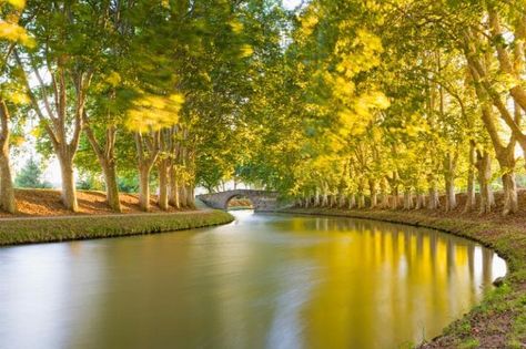 Canal Du Midi, Holidays Around The World, Canal Boat, Visit France, Europe Travel Destinations, Europe Destinations, France Travel, Holiday Destinations, The Times