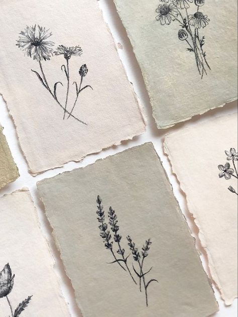 Embroidery On Paper Cards, Amanda Vibes, Simple Sketches Aesthetic, 2024 Watercolor, Botanical Sketches, Charcoal Sketches, Warm Minimalism, Wildflower Drawing, Simple Sketches