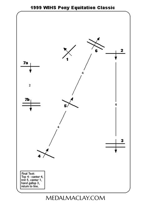 Horse Jumping Courses Simple, Jumping Courses, Horse Jumping Exercises, Riding Ideas, Jumping Exercises, Horse Show Mom, Trail Riding Horses, Equestrian Jumping, Horse Training Exercises