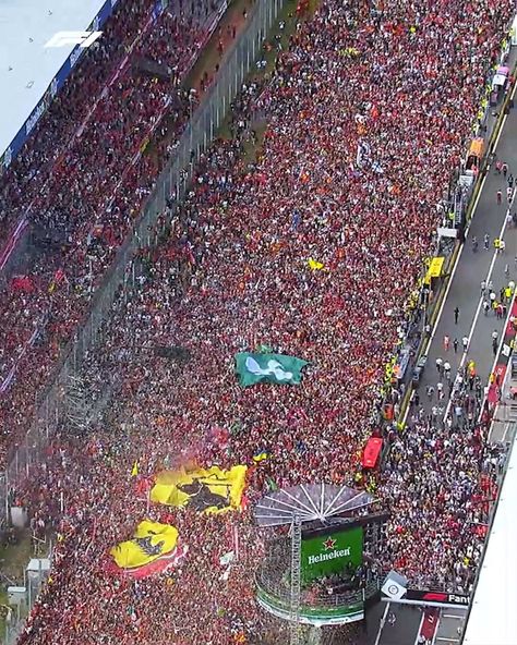 2019 Italian Grand Prix: Charles Leclerc's Celebrations | Charles Leclerc, Italian Grand Prix | Just listen to the Tifosi after Charles Leclerc's win at Monza in 2019! 🔊 | By F1 | Facebook Charles Leclerc Monza 2019 Wallpaper, Charles Leclerc Win In Monza, Charles Leclerc Monza 2024, F1 Celebration, Charles Leclerc Monza 2019, Charles Leclerc Monza, Ferrari Girl, F1 Meme, Italian Grand Prix