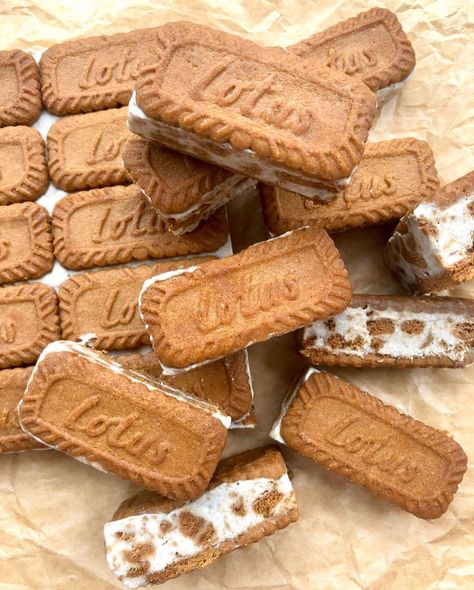 Biscoff Ganache, Biscoff Bars, Biscoff Ice Cream, Frances Quinn, Making Smoothies, Ice Cream Sandwiches Recipe, Biscoff Biscuits, Ice Cream Mix, Banoffee Pie