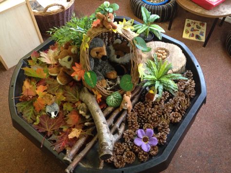 Autumn sensory tray with woodland animals Hedgehog Tuff Tray Ideas, Woodland Small World, Autumn Animals Eyfs, Woodland Sensory Play, Hedgehog Tuff Tray, Woodland Tuff Tray Ideas, Woodland Tuff Tray, Autumn Small World, The Squirrels Who Squabbled Activities