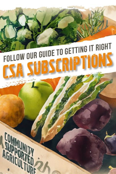 Are you looking for a CSA box subscription? CSAs are an excellent way to eat well through the seasons and support local farmers. Our guide will get you started! Csa Box Ideas, Csa Farm, Csa Box, Starting A Farm, Community Supported Agriculture, Box Garden, Door Garden, Farm Day, Support Local Farmers