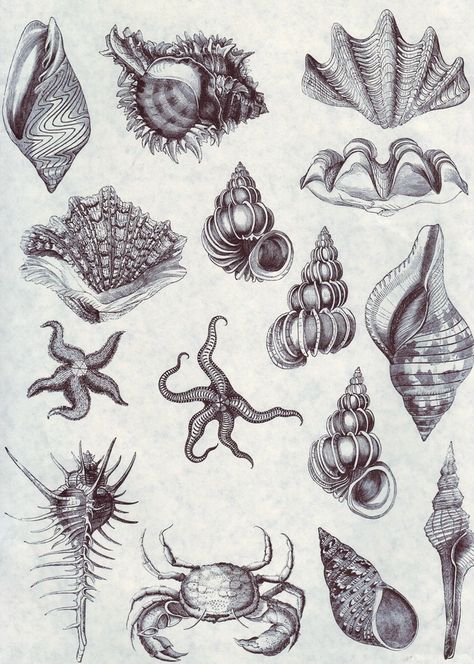 253 Corral Tattoos, Mythical Sea Creature Tattoo, Small Sea Themed Tattoos, Deep Sea Creatures Tattoo, Ocean Patchwork Tattoo, Ocean Themed Tattoos, Sea Animal Tattoos, Ocean Life Tattoos, Ocean Theme Tattoos