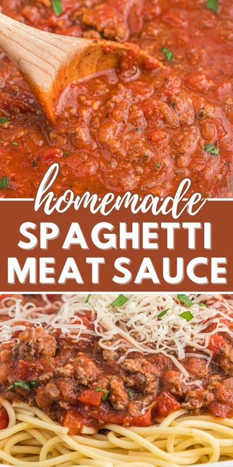 Homemade Spaghetti Meat Sauce, Homemade Spaghetti Sauce Easy, Cheese Sauces, Homemade Spaghetti Sauce Recipe, Canned Spaghetti Sauce, Spaghetti Recipes Easy, Spaghetti Meat Sauce, Pasta Sauce Homemade, Spaghetti Sauce Recipe