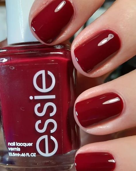 Essie Wrapped In Luxury, Essie Bordeaux Nails, Hand Nails, Cute Toe Nails, Polish Ideas, Cute Toes, Essie Nail Polish, Essie Nail, Fall Nail Colors