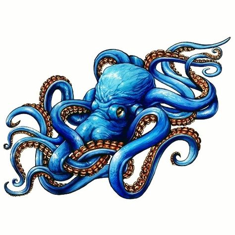 Kraken Tattoo, Squid Tattoo, Tier Tattoo, Octopus Drawing, Octopus Illustration, Octopus Painting, Octopus Tattoo Design, Octopus Tattoos, Red Octopus