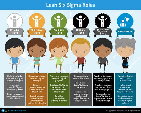 10+ Things Everyone Needs To Know Before Getting a Green Belt - GoLeanSixSigma.com Six Sigma Tools, Six Sigma, Lean Manufacturing, Operational Excellence, Lean Six Sigma, Process Improvement, Green Belt, Change Management, Leadership Roles