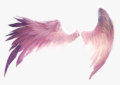 Angel Wings Png, Angel Wings Drawing, Wings Png, Angel Wings Art, Wings Drawing, Wings Art, Wings Tattoo, 문신 디자인, Angels And Demons