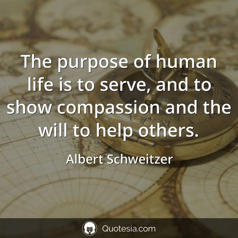 Humanity Quotes Helping Others, Solidarity Quotes, Albert Schweitzer Quotes, Helping Others Quotes, Compassion Quotes, Humanity Quotes, Serve Others, Albert Schweitzer, 21st Quotes