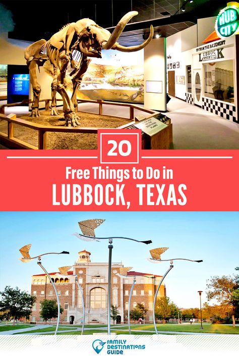 Lubbock Tx, Texas Travel Guide, Lubbock Texas, Texas Places, Weekend Activities, Cheap Things To Do, Family Destinations, Family Friendly Activities, Road Trip Planning