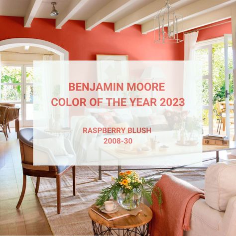 Benjamin Moore's Color of the Year 2023  — Sarah Jacquelyn Interiors Blush Kitchen, Coral Accent Walls, Raspberry Blush, Wren Kitchen, Chicago Interior Design, Benjamin Moore Colors, Traditional Interior, Word Wall, Benjamin Moore