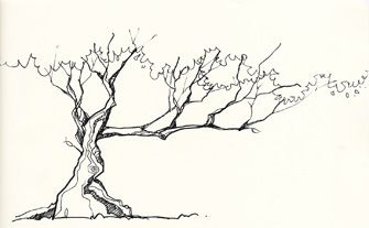 Tree; not only drawn using line, but i love the direction and the weight on the left Moleskine Diary, Tree Line Drawing, Drawing Trees, Forest Logo, Drawing Rocks, Etch A Sketch, I Love Drawing, Tree Sketches, Art Poster Design