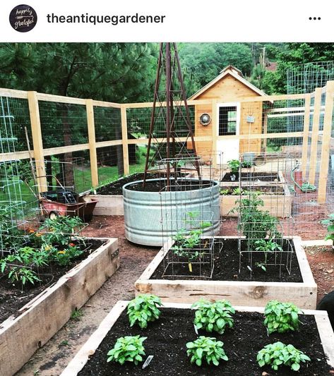 My friend @theantiquegardener has the sweetest garden and chicken coop. I’ve been telling her she needs to sell the plans for her chicken coop in her shop @theantiquegardener . It is too cute and very functional. Sims Farm, Garden And Chicken Coop, Homestead Skills, Harvest Garden, Raised Gardens, Veggie Gardens, Edible Gardens, Backyard Farm, Vertical Vegetable Garden