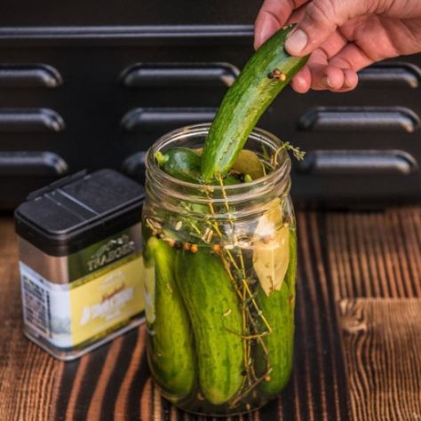 This smoked whole pickles recipe uses a smoked spice mix infusing hickory flavor into crunchy dill pickles. Traeger Pellet Grills, LLC Pulled Pork Tenderloin, Homemade Refrigerator Pickles, Packaged Salad, Refrigerator Pickle Recipes, Hacks To Try, Sauce Tartare, Cucumber Canning, Pickles Recipe, Palate Cleanser