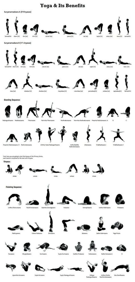 #Fitness #Your #Enhance #Guide #Journey #Tips #Exercise #Workout #Home #NutritionTips Yoga Sequence For Beginners, 30 Minute Yoga, Asana Yoga, Different Types Of Yoga, Poses For Beginners, Yoga Poses Advanced, Yoga Beginners, Beginner Yoga, Yoga Posen