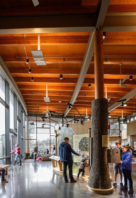 Gallery of Oregon Zoo Education Center / Opsis Architecture - 9 Zoo Education, Zoo Architecture, Lobby Design, Organic Architecture, Rain Garden, Education Center, Building Exterior, West Lake, Environmental Science