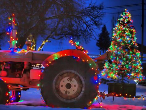 Christmas Tractor Photo Shoot, November Inspiration, Christmas Tractor, Tractor Photos, Old Tractor, Santa Photos, Vintage Tractors, Christmas Photography, Christmas Photoshoot