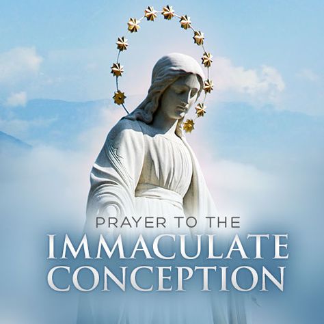 December 8 Immaculate Conception, Feast Of The Immaculate Conception Prayer, The Immaculate Conception, Immaculate Conception Feast Of The, Feast Of Immaculate Conception, Immaculate Conception Prayer, Immaculate Conception Of Mary, Our Lady Of Immaculate Conception, Mary Immaculate