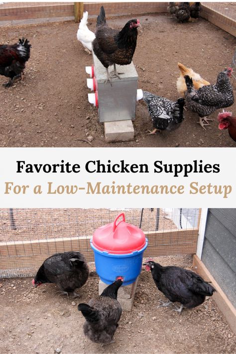 Our Favorite Chicken Supplies for a Low-Maintenance Setup - Aberle Home Coop And Run, Chicken Supplies, Raising Quail, Chicken Manure, Raising Ducks, Egg Laying Chickens, Chicken Tractors, Chicken Health, Keeping Chickens