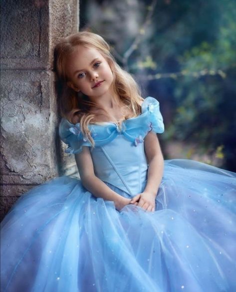 Cinderella Flower Girl Dress, Princess Cinderella Dress, Frozen Princess Dress, Tale Dress, Cinderella Dress, Girls Pageant Dresses, Princess Gown, Cinderella Dresses, Princess Cinderella