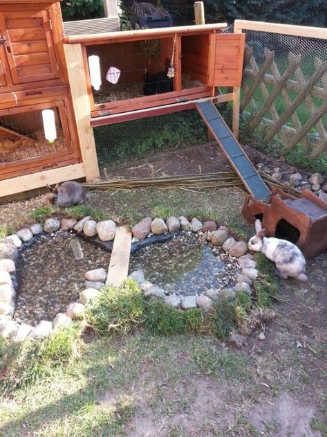 Rabbit Sanctuary, Bunny Sheds, Outdoor Rabbit Hutch, Rabbit Enclosure, Rabbit Habitat, Pet Rabbit Care, Meat Rabbits, Bunny Hutch, Pet Bunny Rabbits